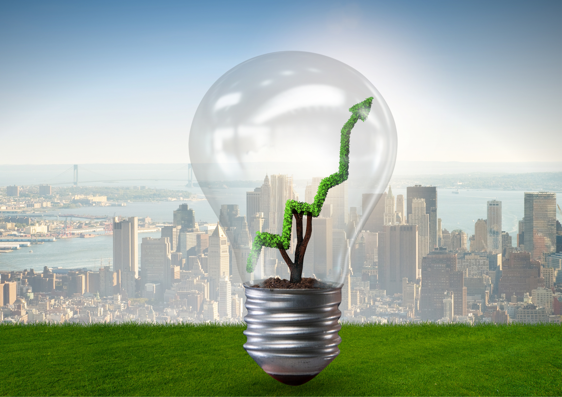 A Case Study In Sustainability