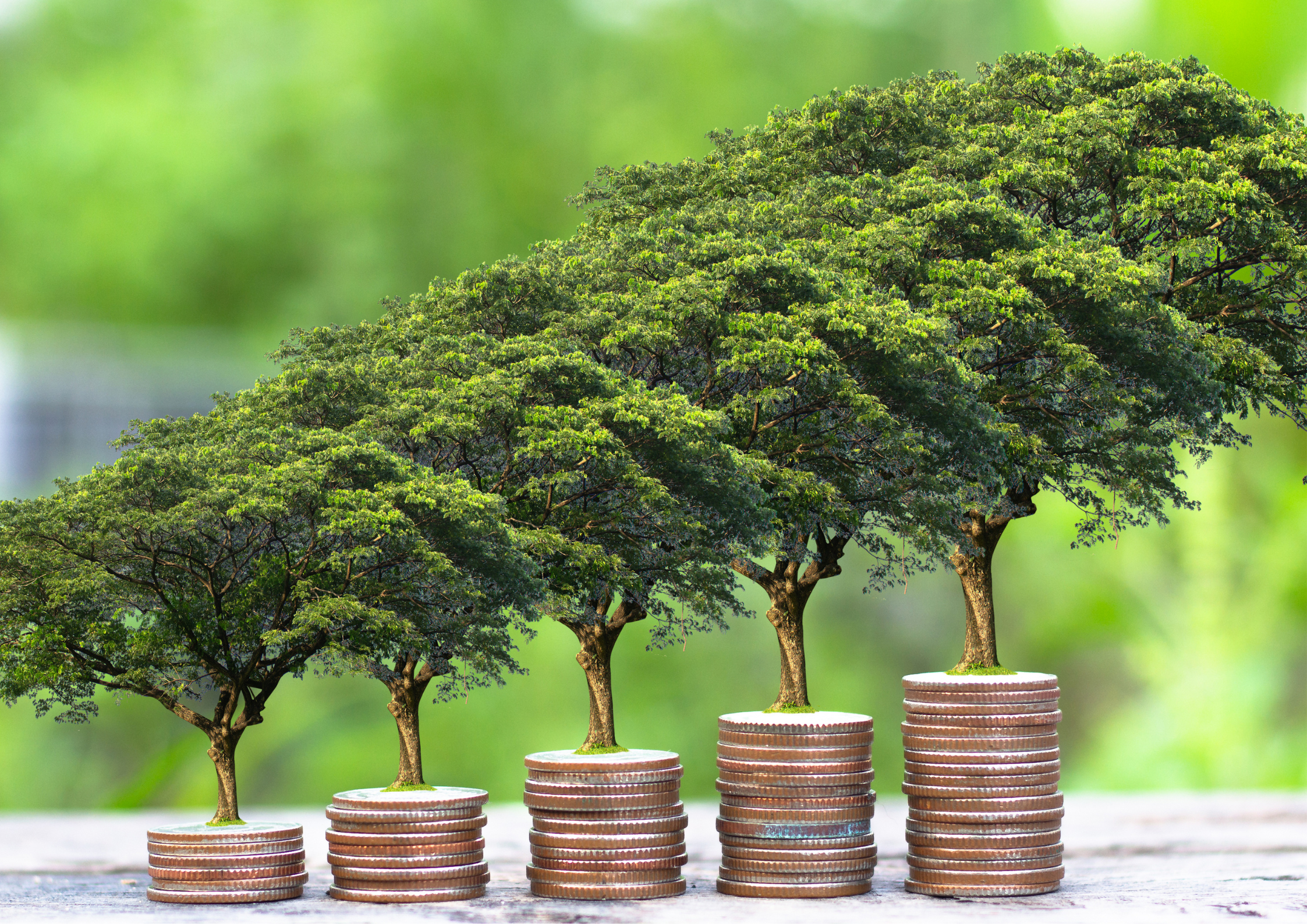 Stepping towards Economic Sustainability