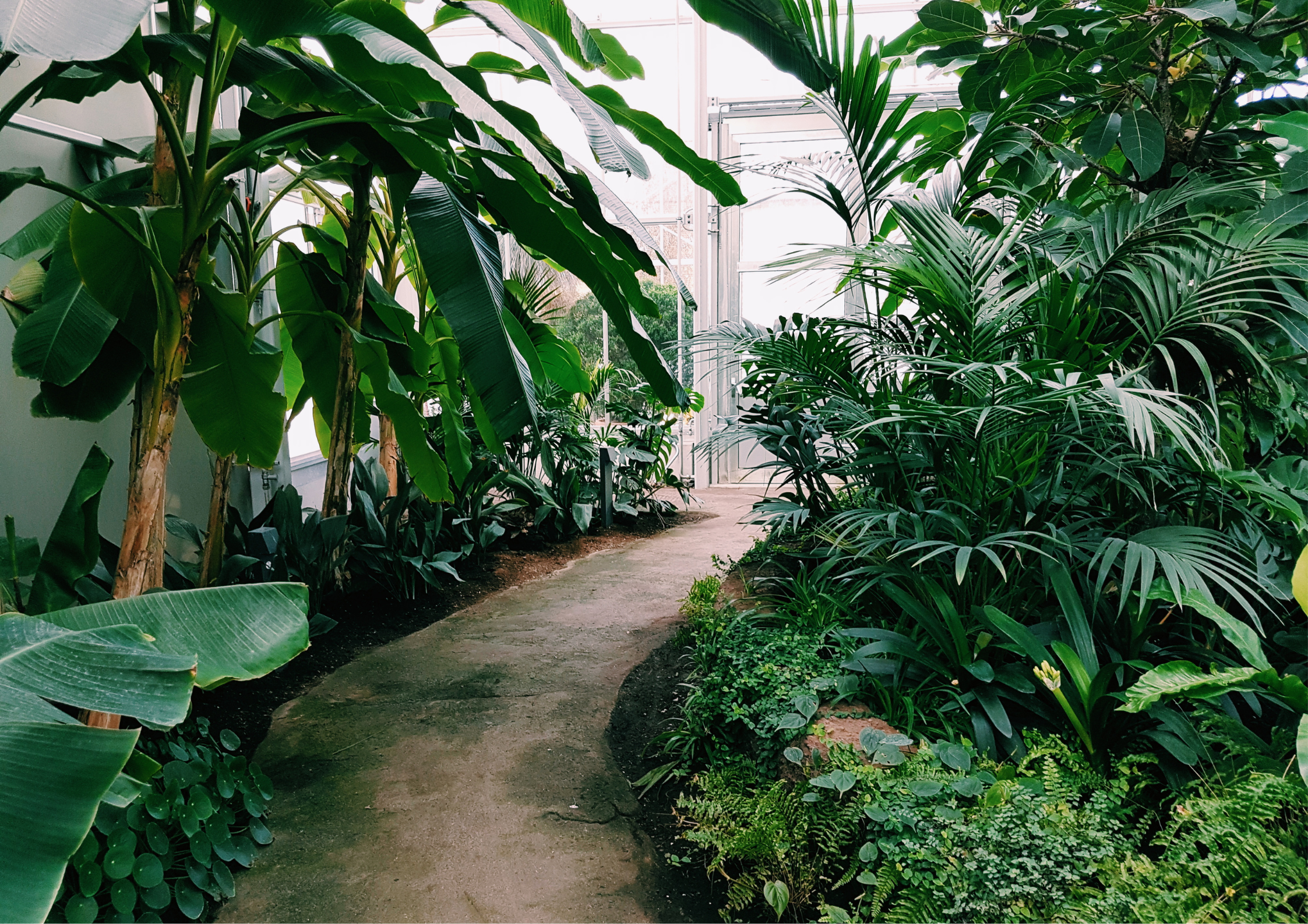 Nature Withdrawals and My Waning Sanity