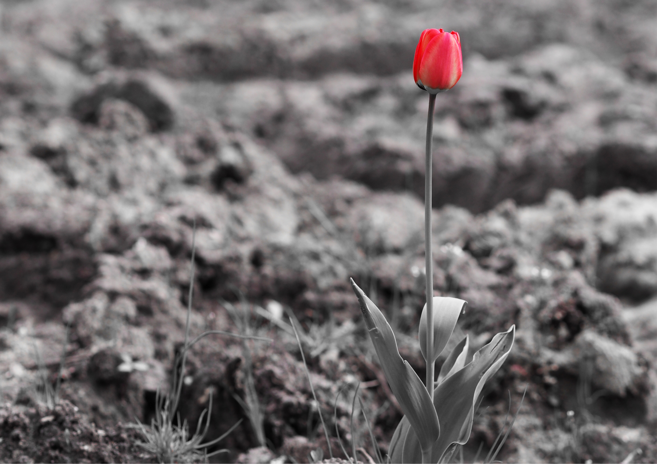 Working In the Impact Industry: Surviving the Survivor’s Guilt