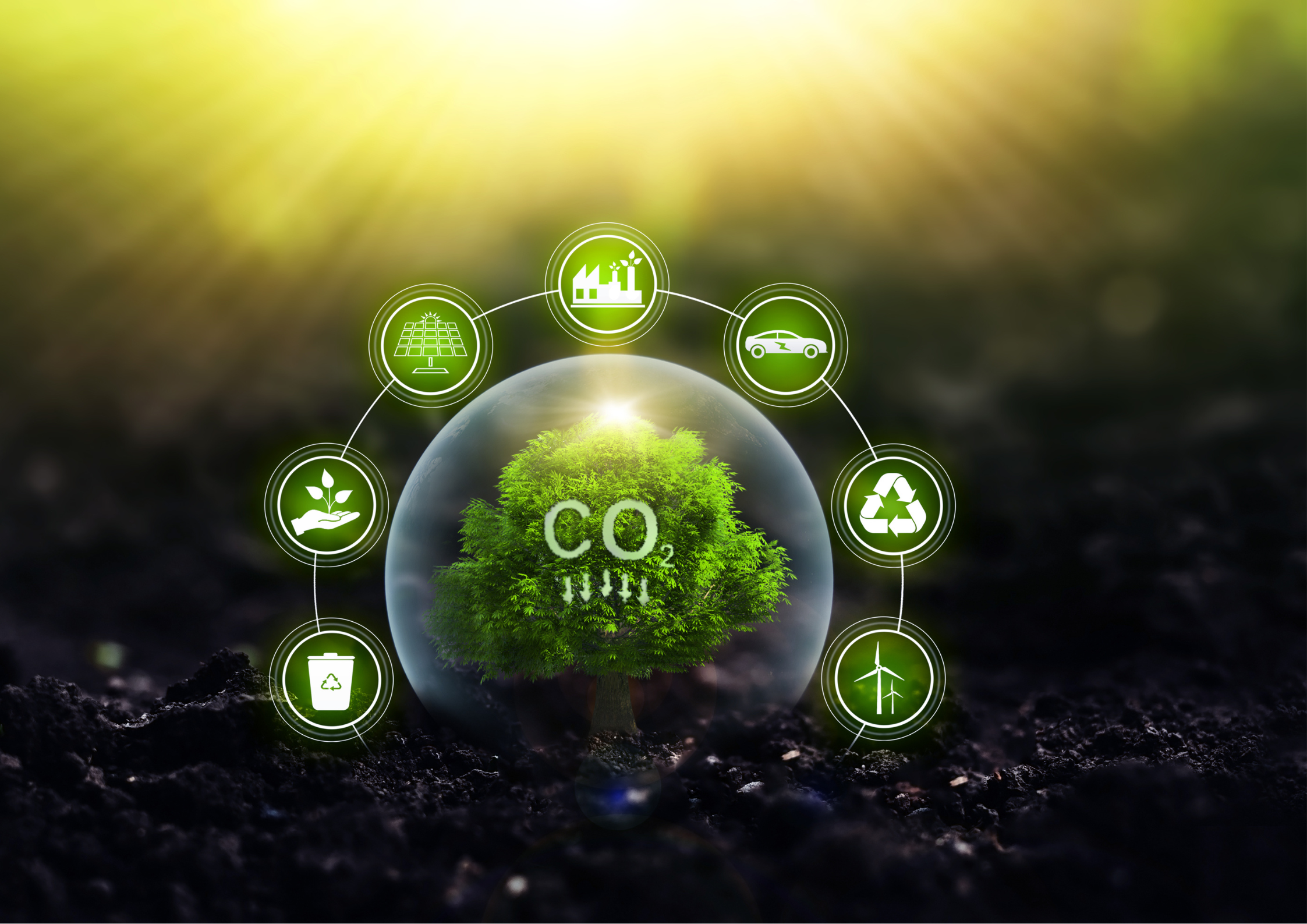 Understanding Project Drawdown: Viable Solutions, Carbon Removal, and Carbon Abatement.