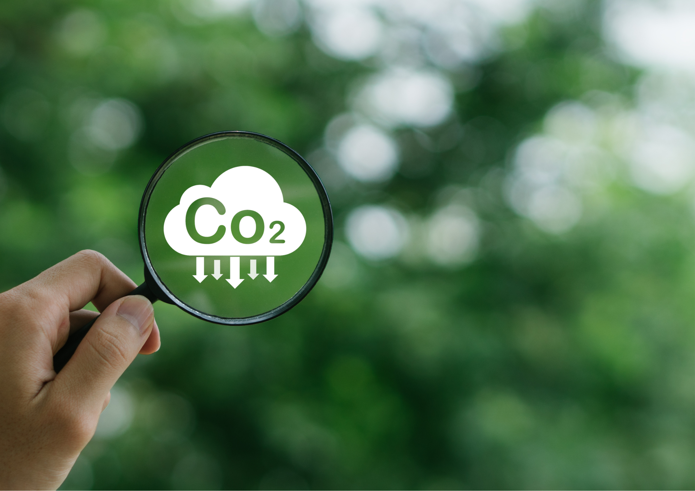 Carbon Offsets – The effective Way to tackle Climate Change?