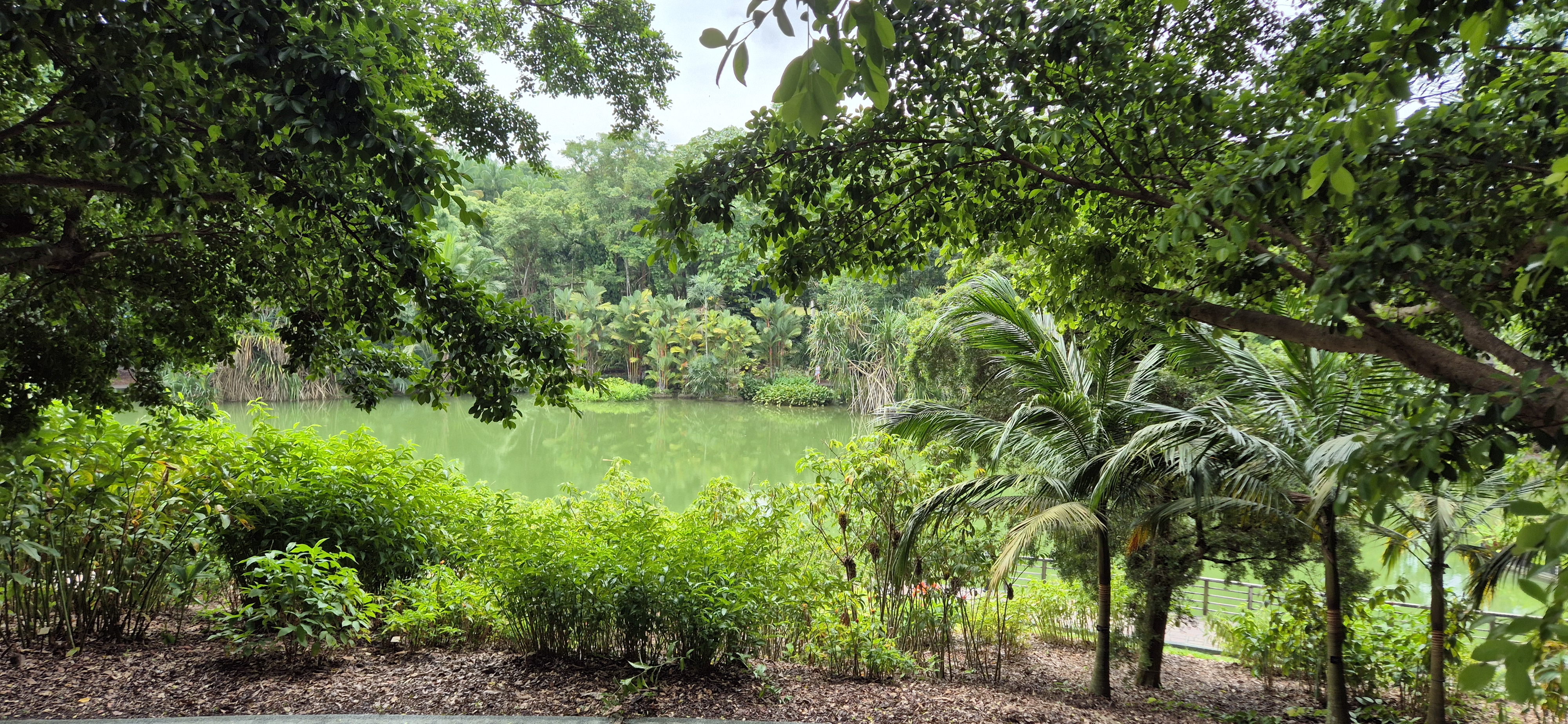 Why Singapore Stole My Heart:
