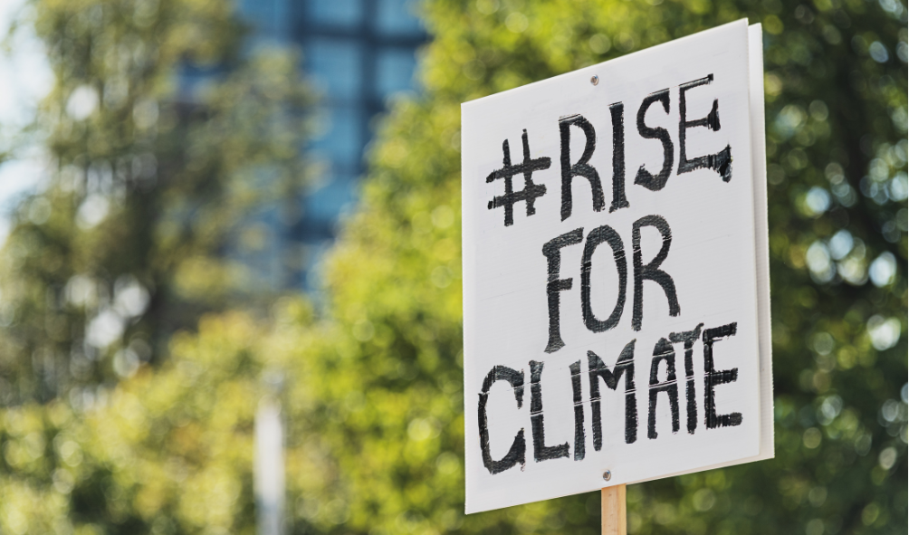 Investing in Our Future: The Urgency of Climate Literacy