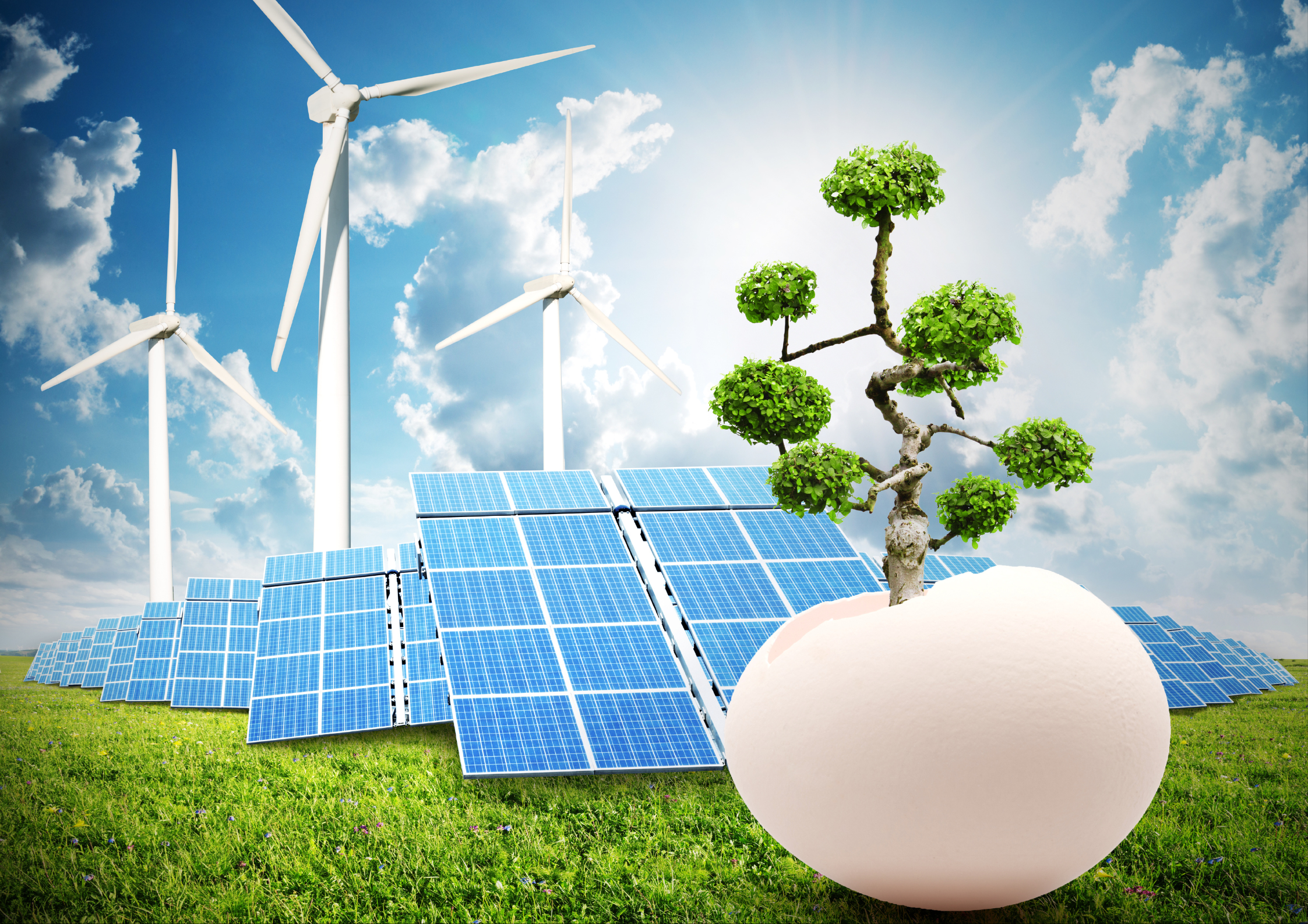 Trends Shaping 2025: The Shift Toward a Sustainable Future