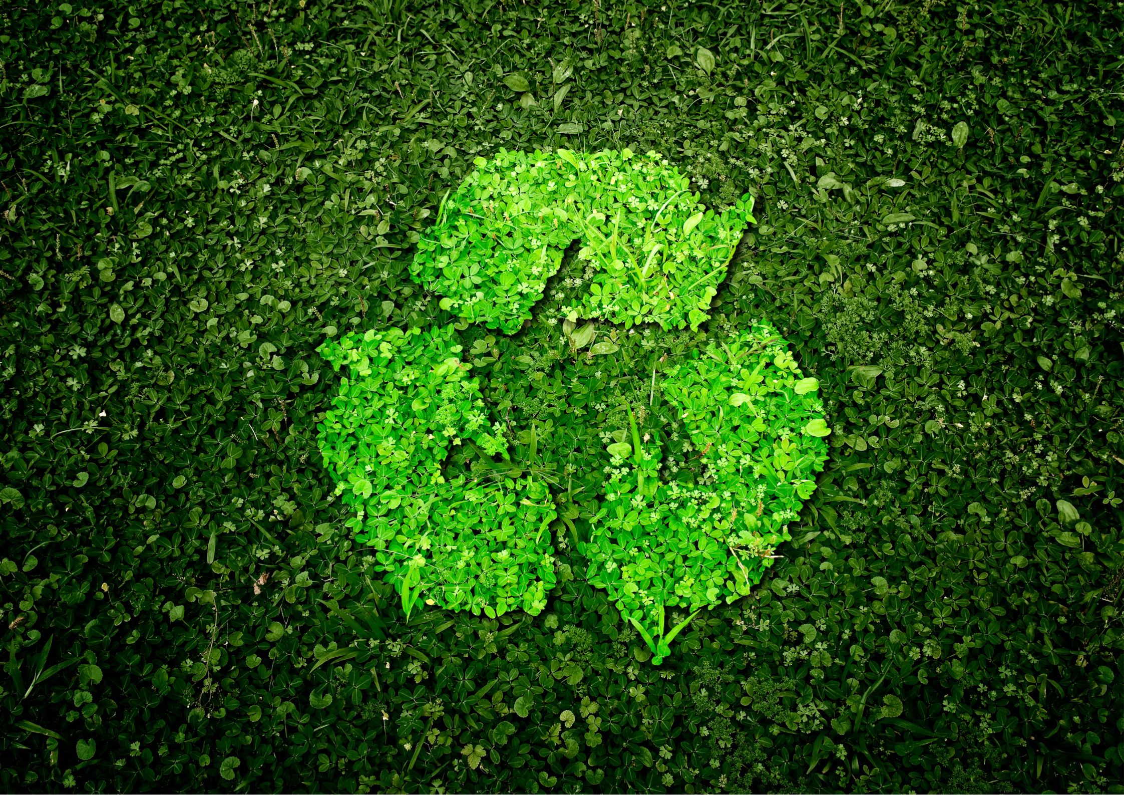 Why Recycling Still Matters in 2025