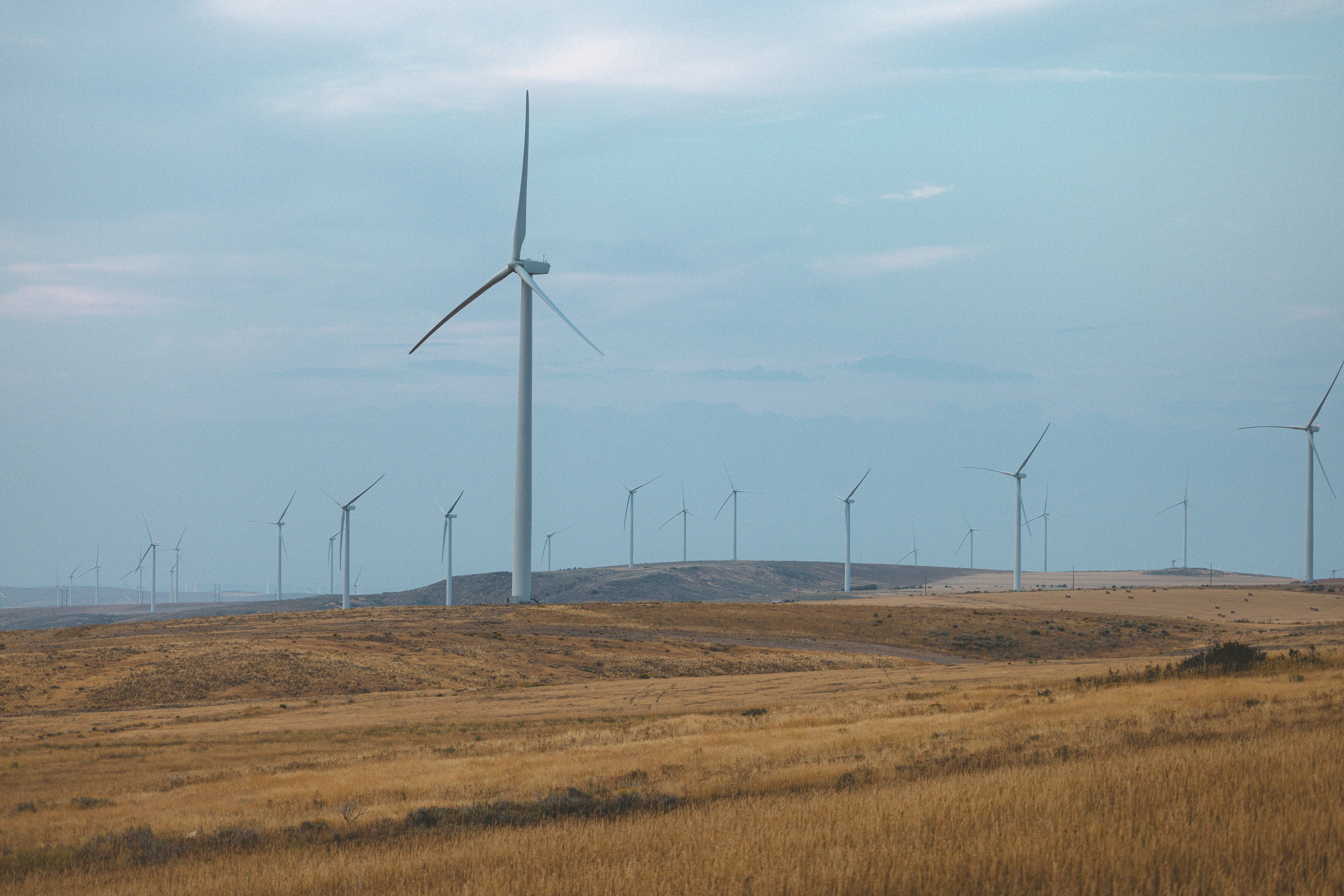 Why Good Climate Solutions Still Struggle to Raise